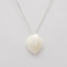 Angel wing shell necklace